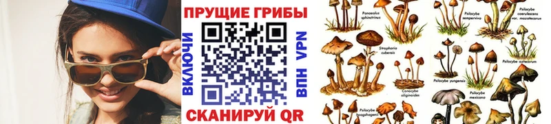 Галлюциногенные грибы Magic Shrooms  Салехард 